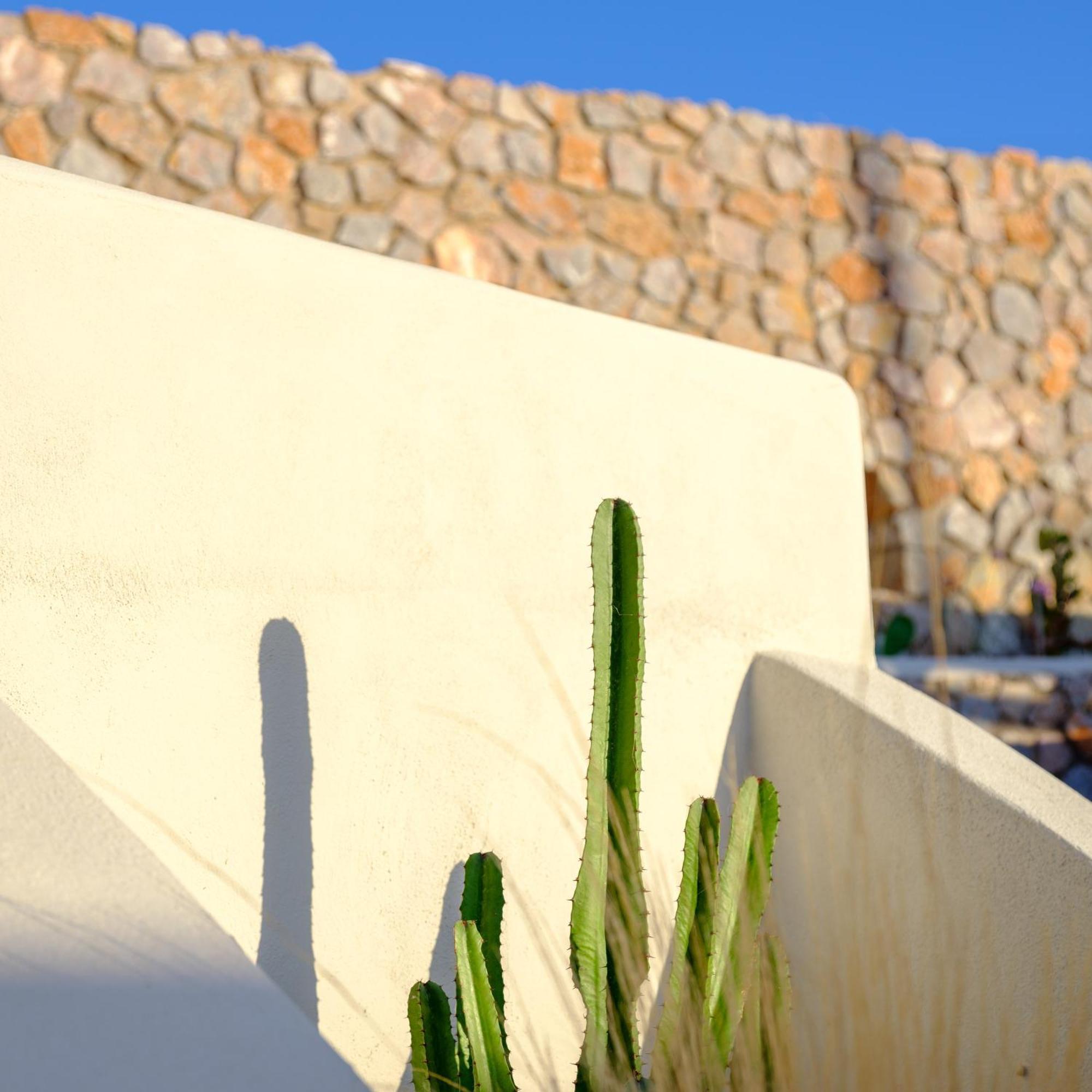 Santorini C Villa 산토리니 외부 사진